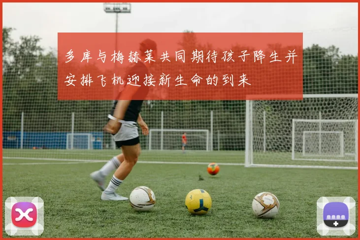 多库与梅赫莱共同期待孩子降生并安排飞机迎接新生命的到来