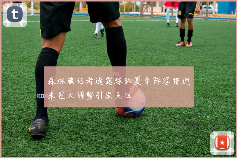森林狼记者透露球队夏季阵容将迎来重大调整引发关注